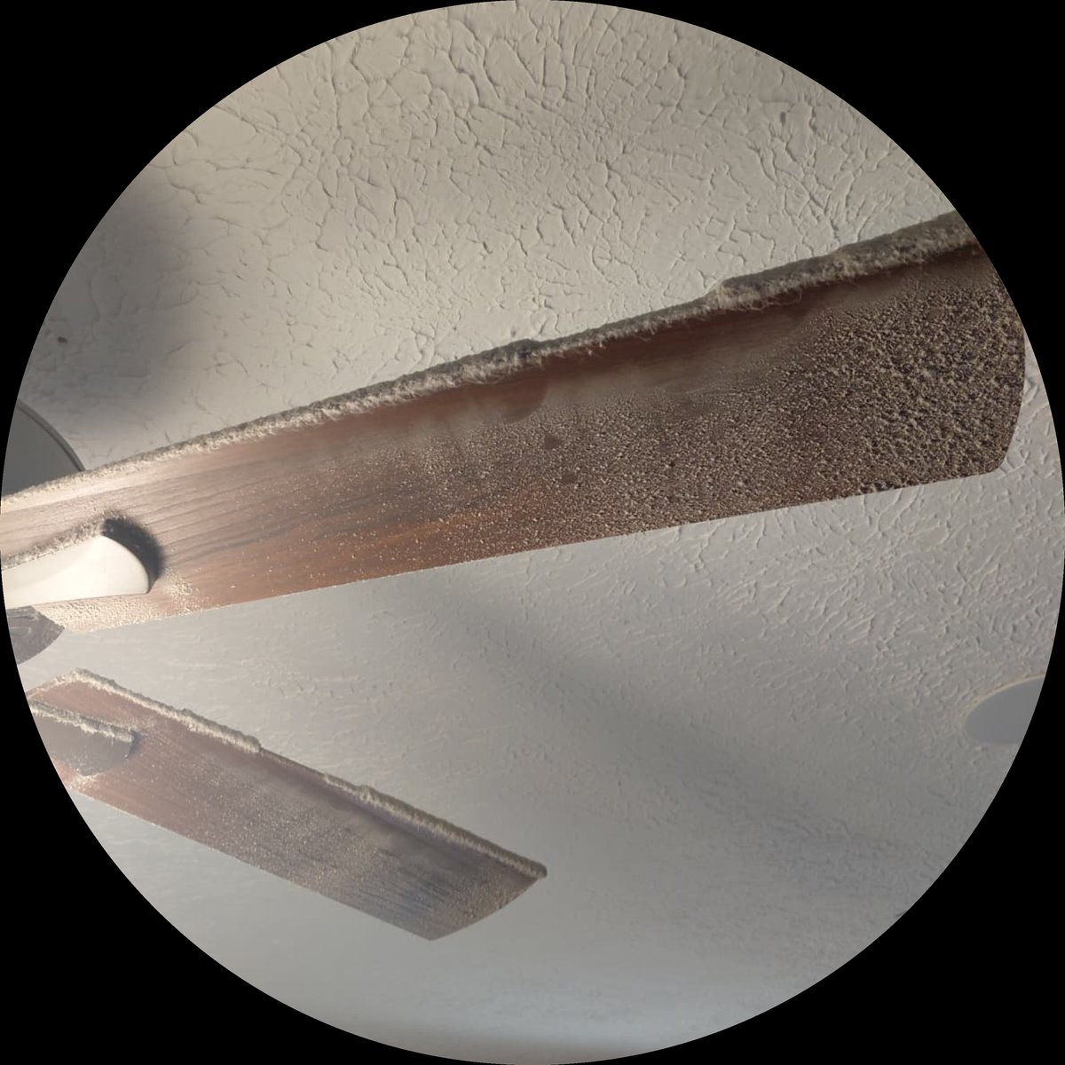 Eviction Cleanouts — Rachel's Cleaning and Home Watch Services